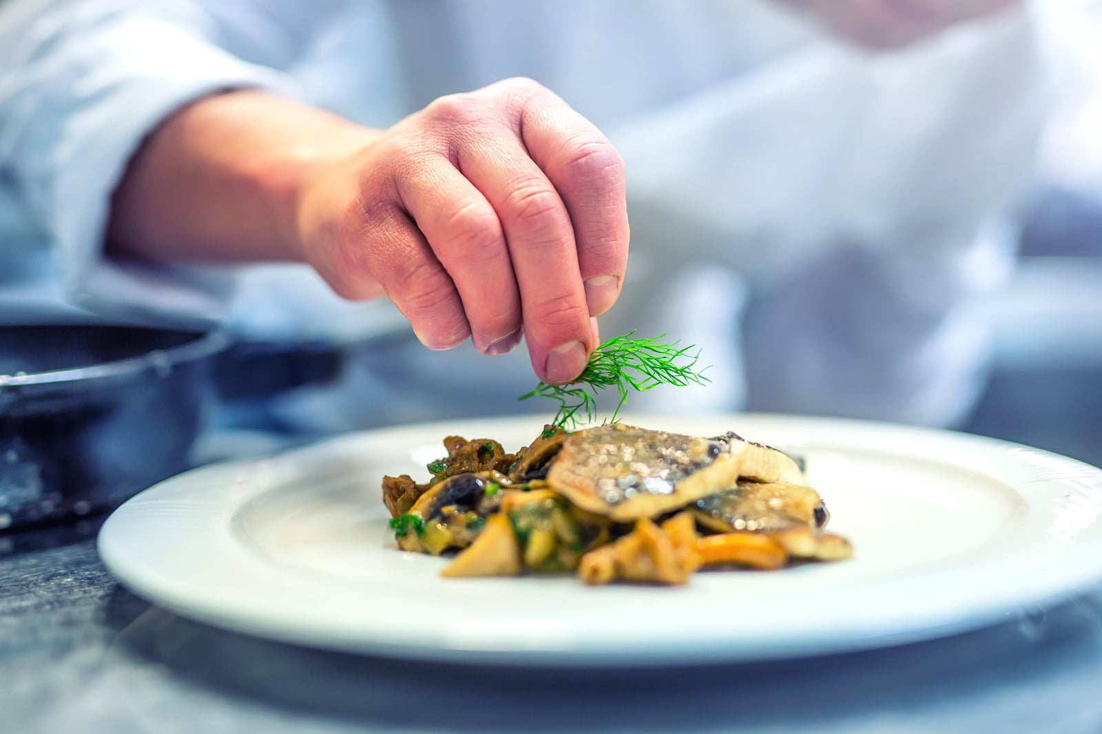 10 Great Restaurants in Dresden Where to Eat in Dresden and What to