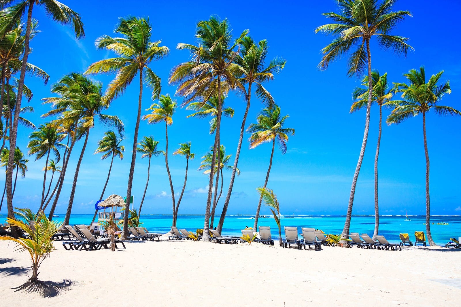 Punta Can A Rd 10 Best Things to Do in Punta Cana - What is Punta Cana Most Famous For ...