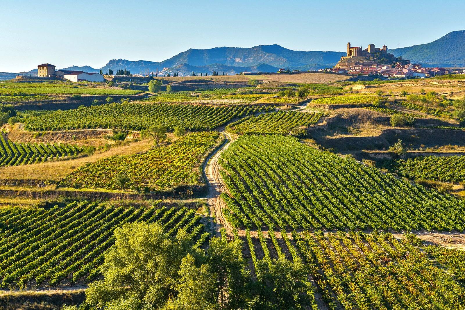 10 Best Things Do in Basque Country - What is the Basque Region Famous ...