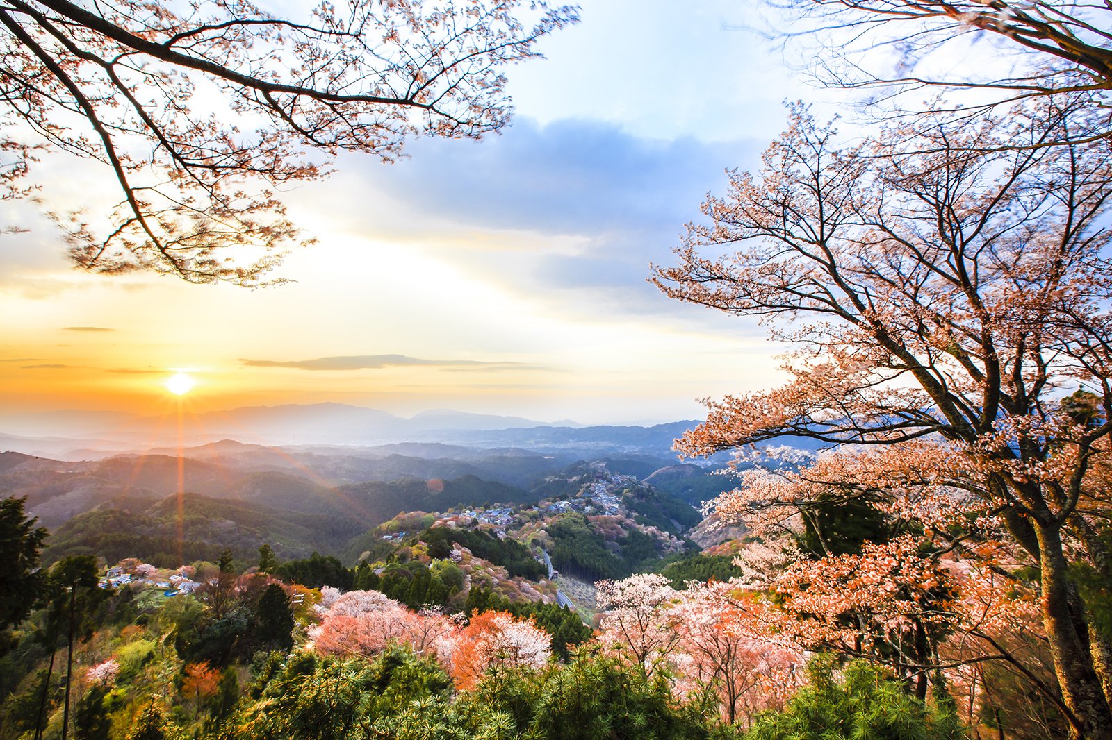 13 Best Things To Do In Nara What Is Nara Most Famous For Go Guides