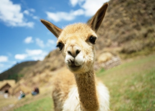 Pisac, Pérou