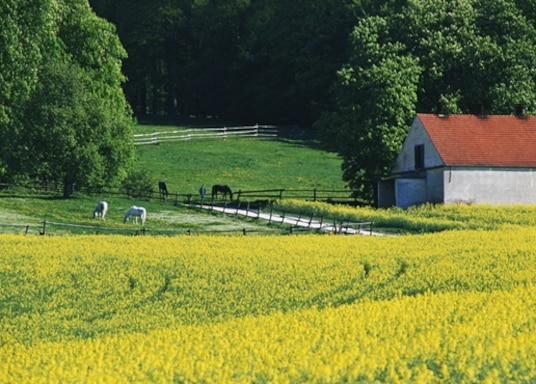 Stirling, Ontario, Canada