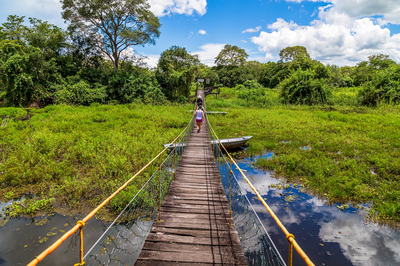 O Que Fazer no Pantanal? 17 Passeios e Atrações em 2023