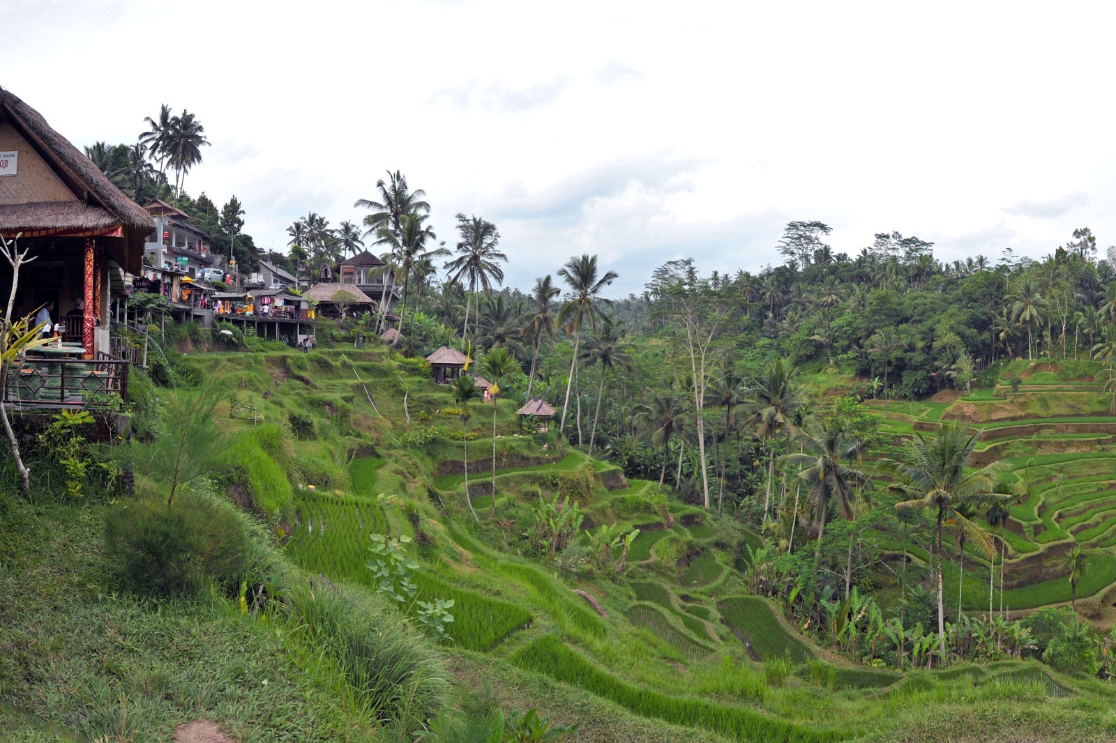 Tegalalang Rice Terrace