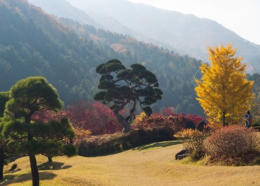 加平, 韓國