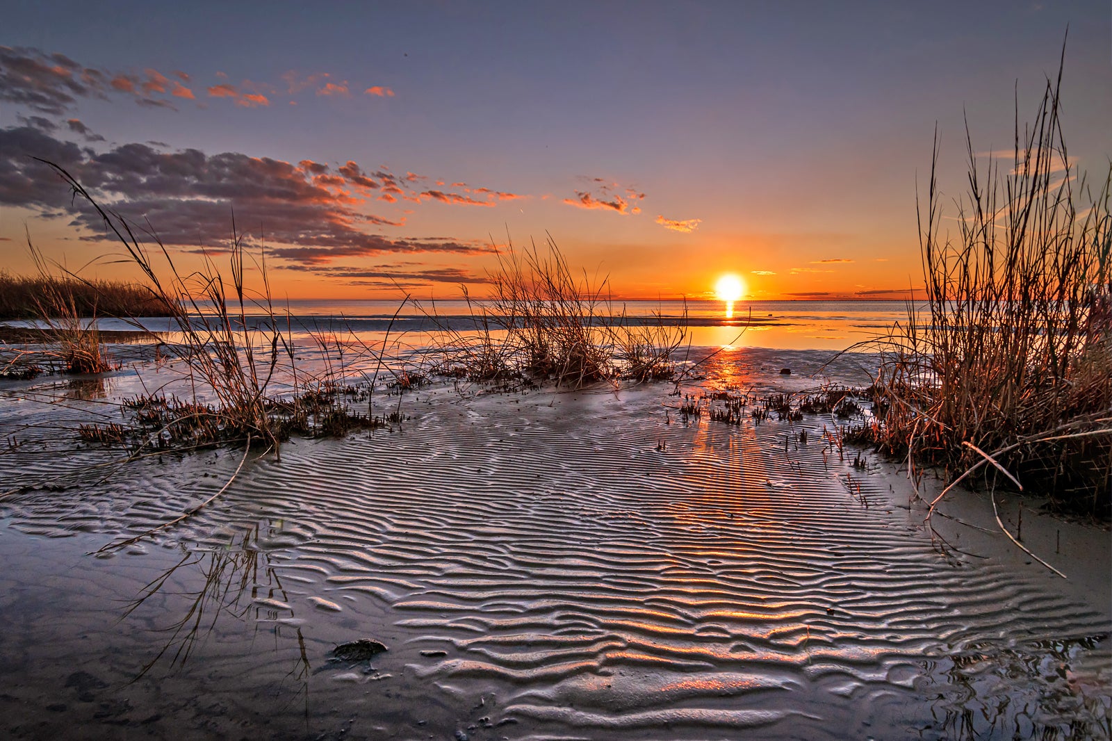 Fontainebleau State Park near New Orleans Boardwalks and Bayous