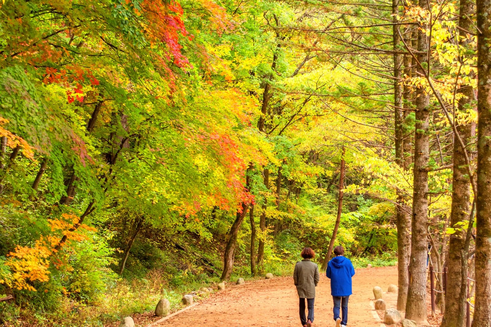 10 Best Things To Do For Couples In Pyeongchang What To Do On A 10-best-things-to-do-for-couples-in-pyeongchang-what-to-do-on-a