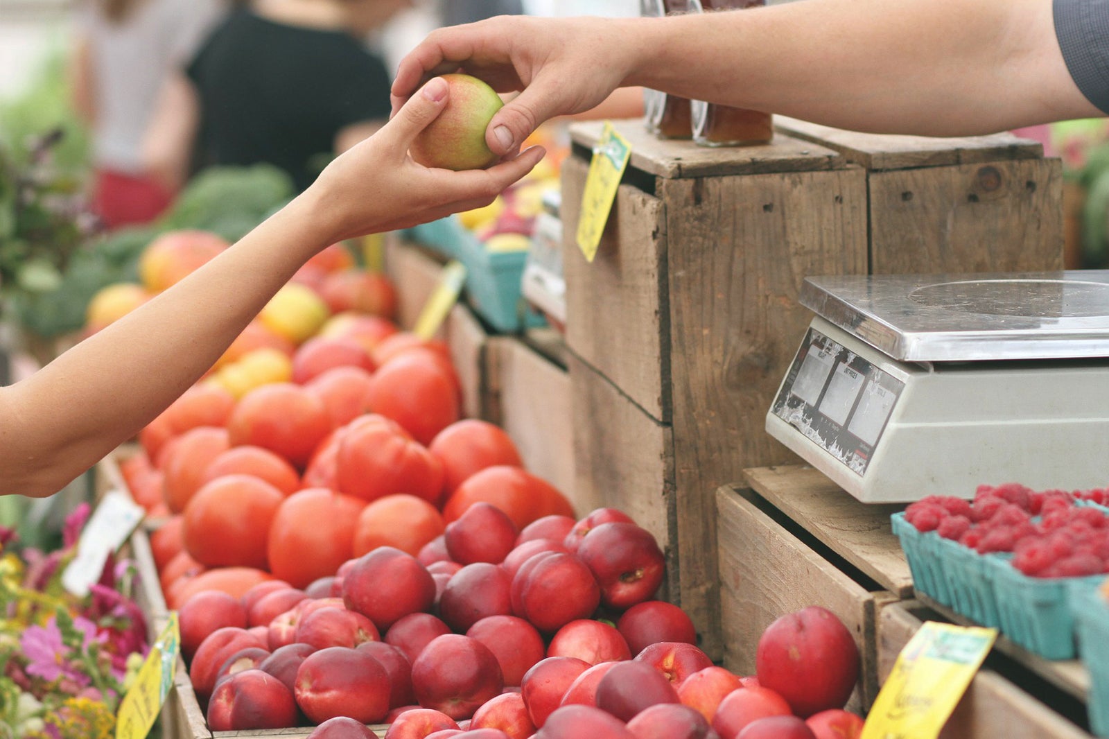 Your Guide to Sacramento's Farmers Markets