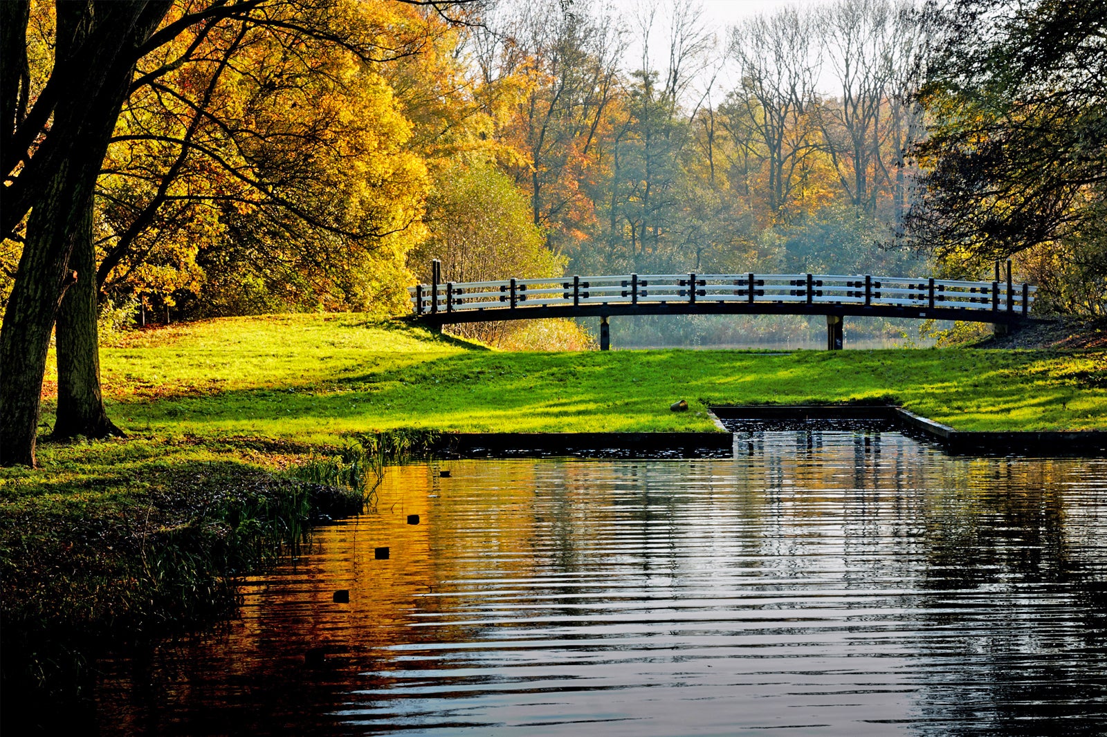 Amsterdamse Bos - A Park Something for Everyone - Go Guides