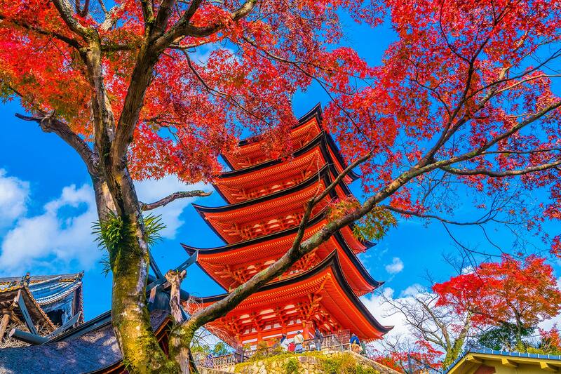 金沢の有名寺社 10 選 金沢に行ったら是非訪ねたい古寺名刹をリストアップしました Go Guides 金沢の有名寺社 10 選 金沢に行ったら是非訪ねたい古寺名刹をリストアップしました Go Guides