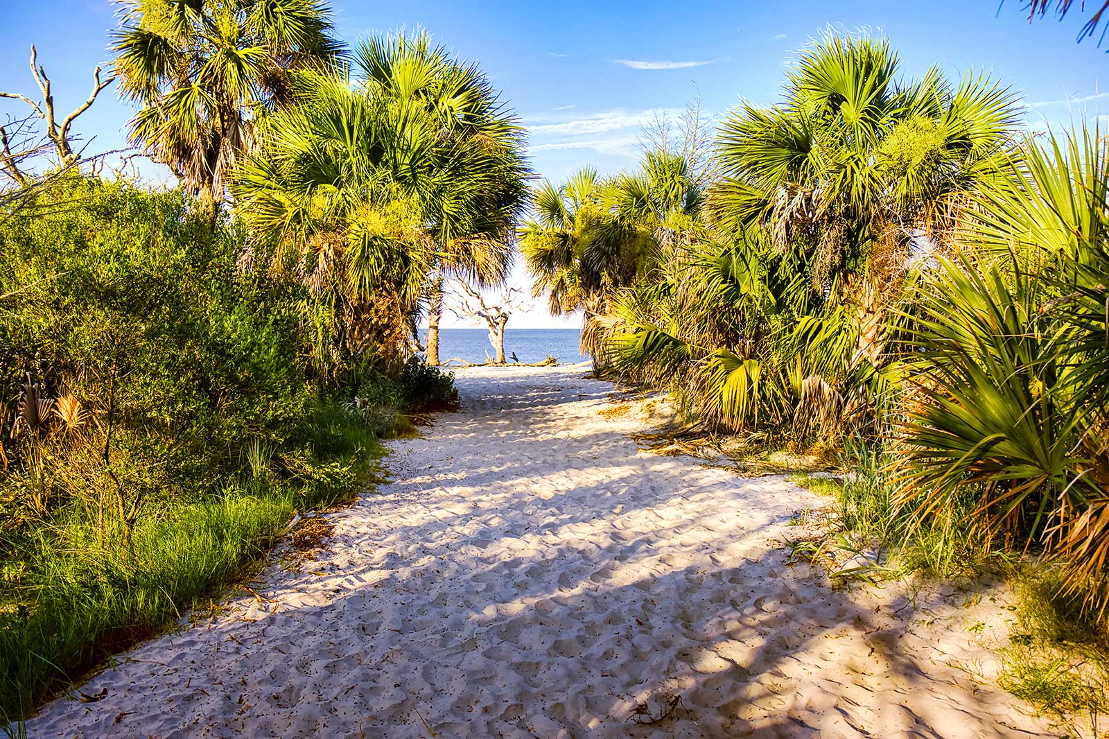 5 Best Beaches near Atlanta - What is the Most Popular Beach Near ...