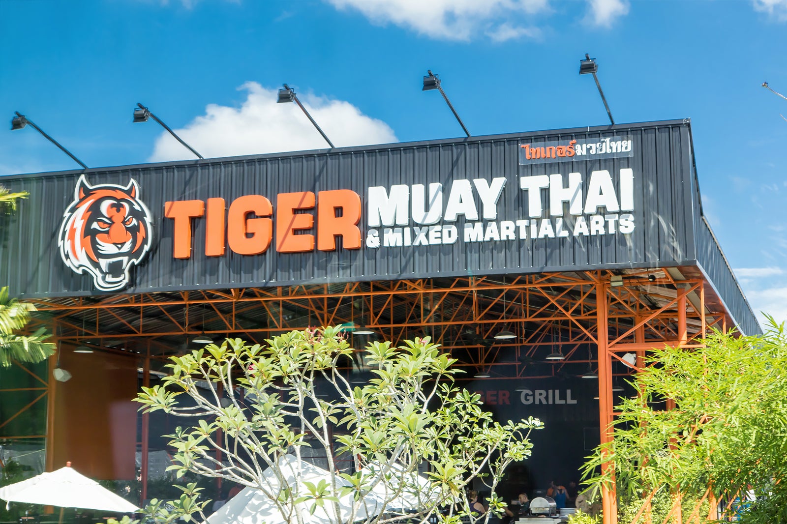 Tiger Muay Thai Camp in Phuket Mixed Martial Arts Excellence in