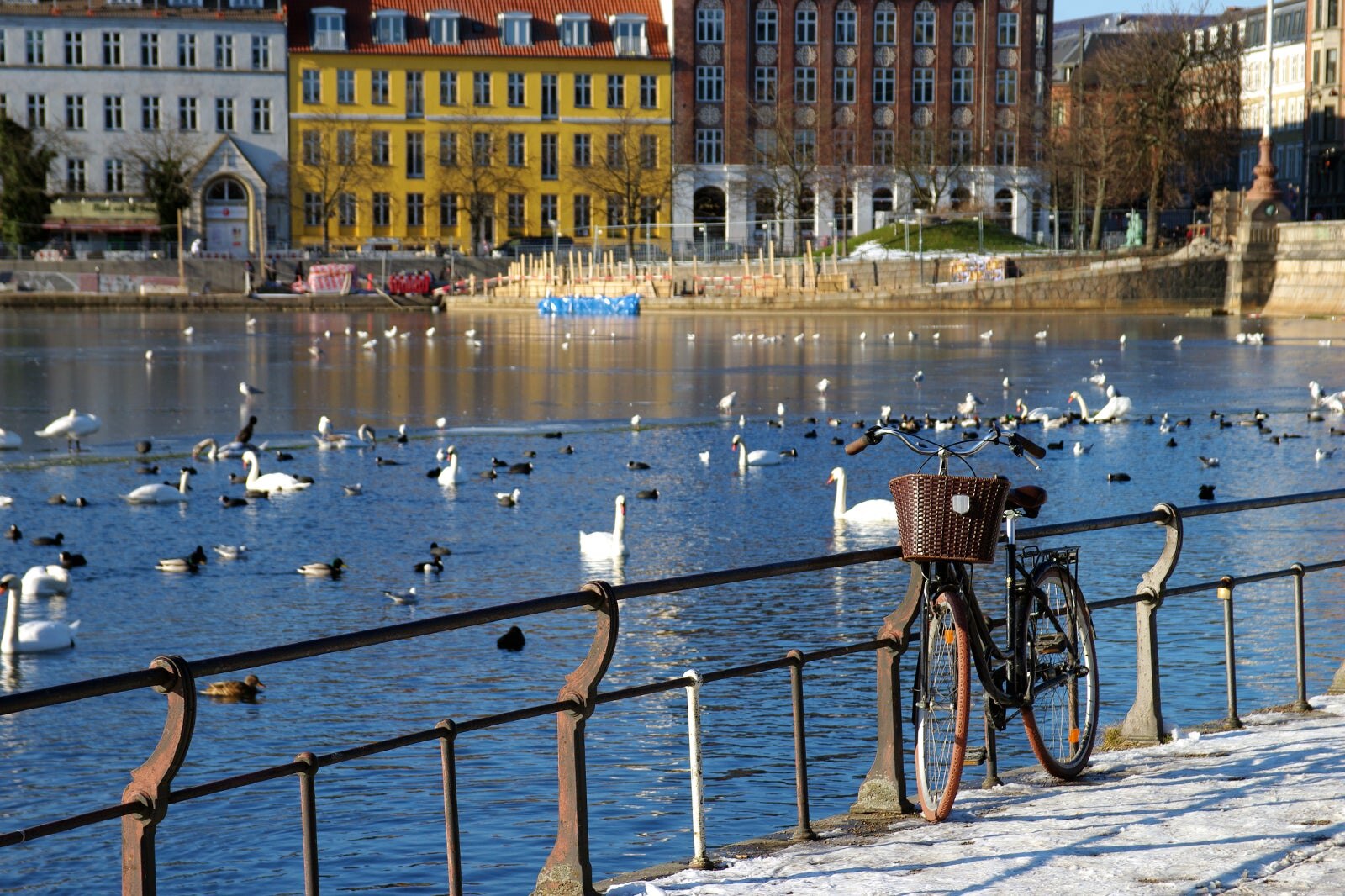 De 10 populäraste områdena i Köpenhamn - Var är det bäst att bo i Köpenhamn?  - Go Guides