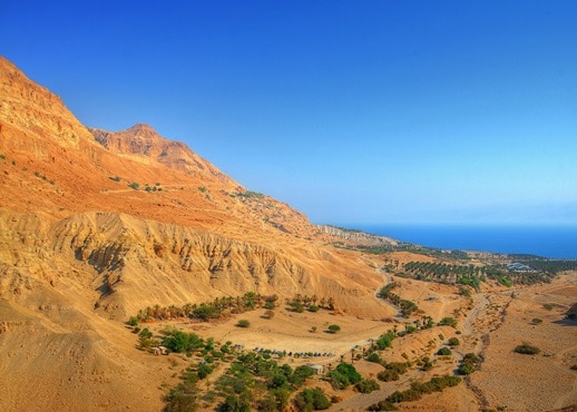 ‏עין גדי, ישראל‎