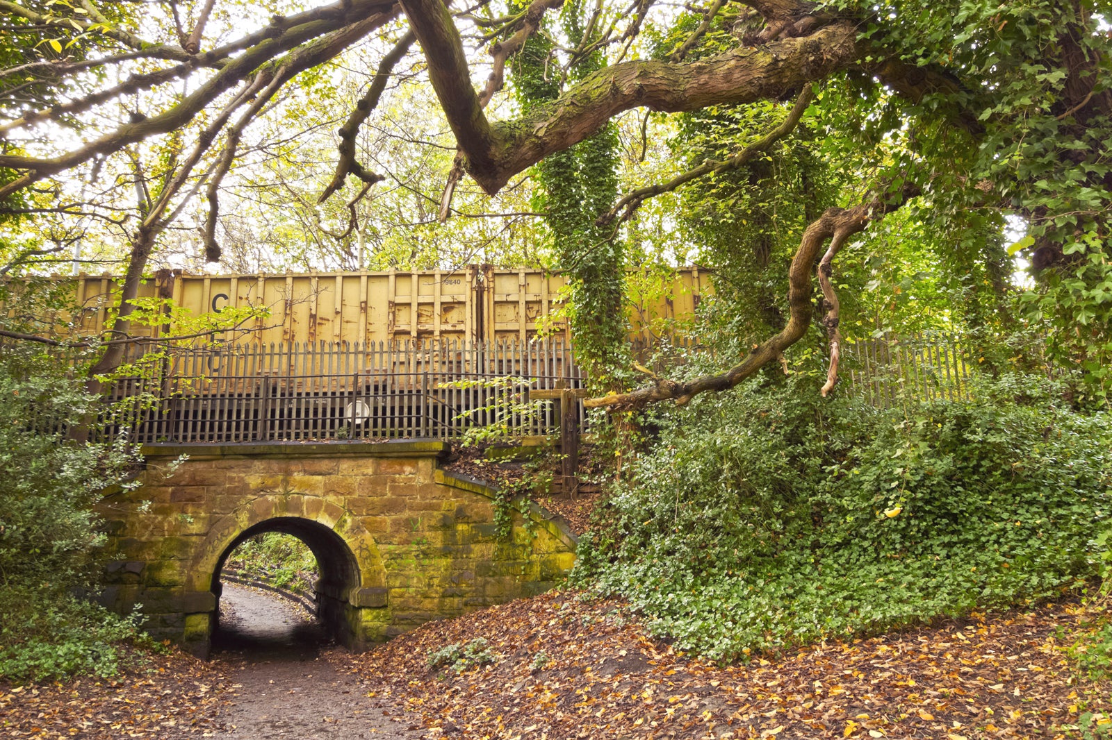 Water Of Leith Walkway In Edinburgh Walk Through Some Interesting And   23eea1c5 1c36 4545 873c F05f2482d1ea 