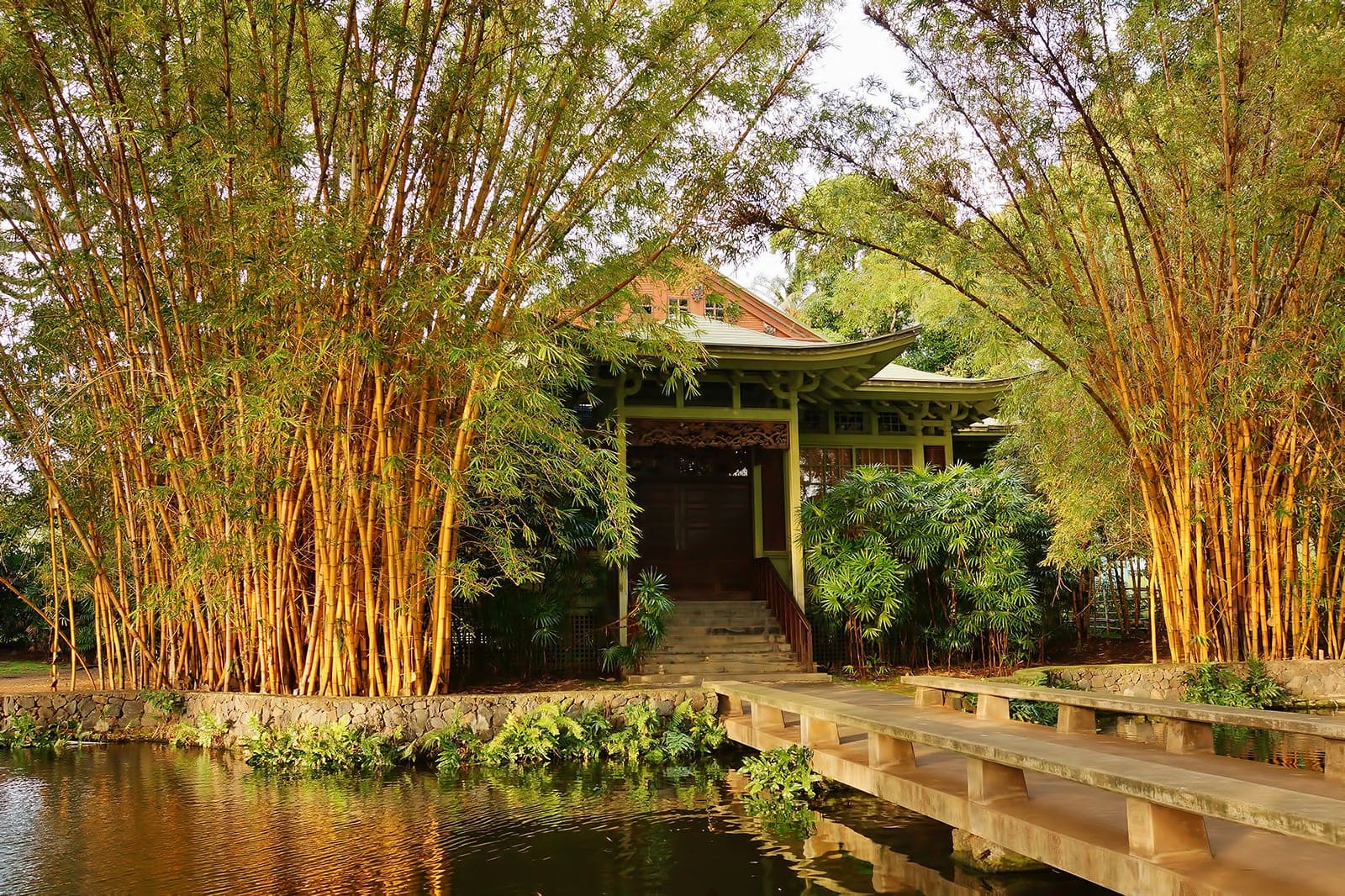 Moanalua Gardens Explore The Tropical Paradise Of Honolulu s Untamed moanalua-gardens-explore-the-tropical-paradise-of-honolulu-s-untamed