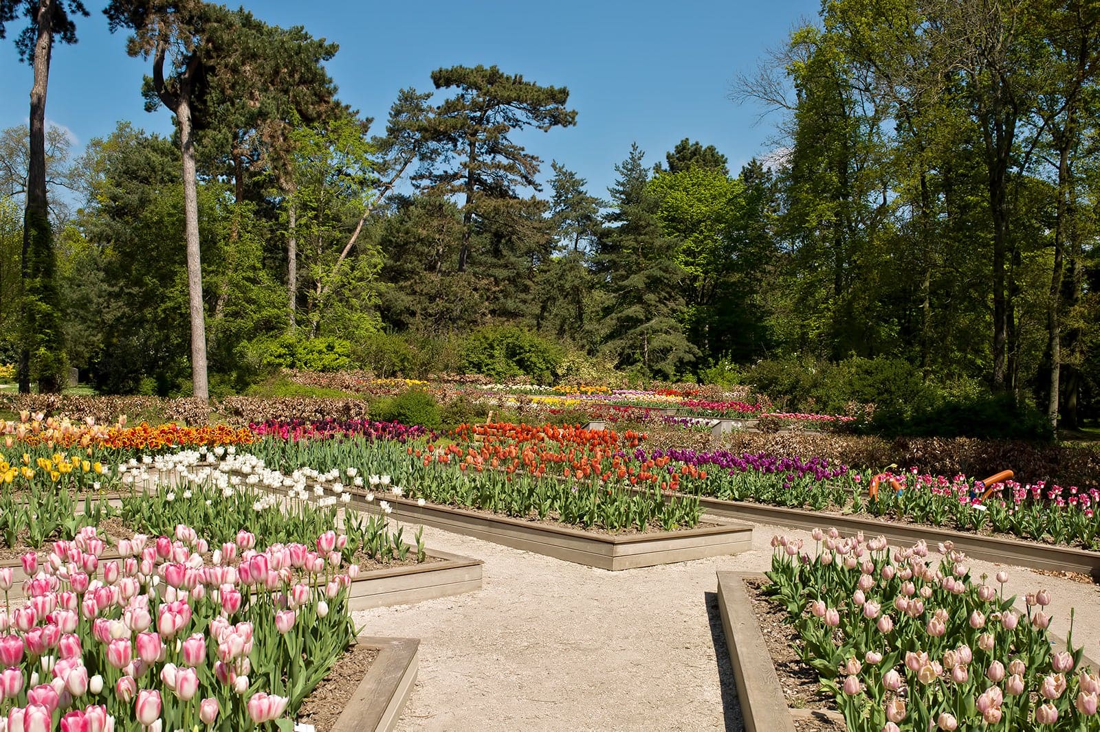 パリでおすすめの公園 12 選 - パリの美しい公園を訪ねましょう - Go Guides