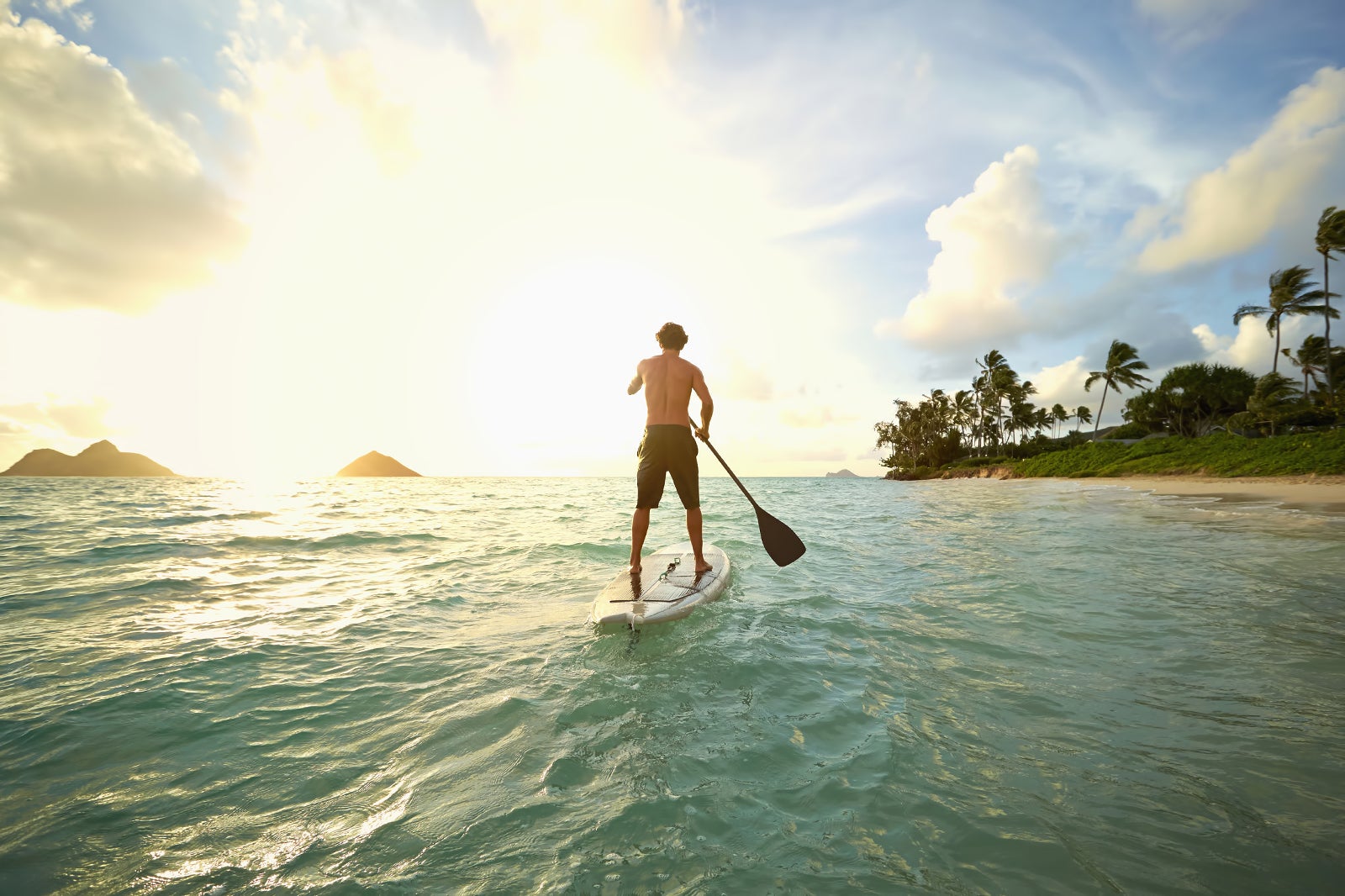 peut être autorité Divertir stand up paddle bali Installer Horreur voleur