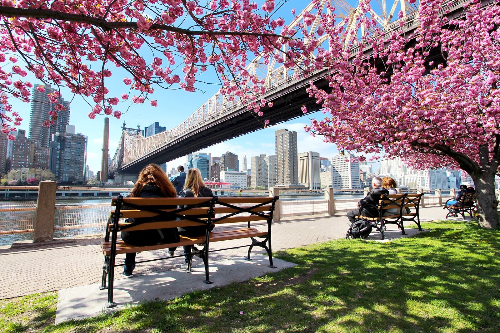 10 Best Festivals in New York New York Celebrations You Won’t Find