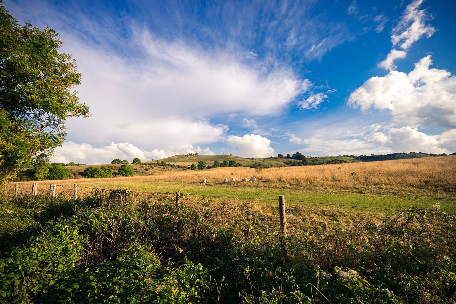 10 Best Things to Do in Luton - Find Fun in the Popular Town of Luton ...