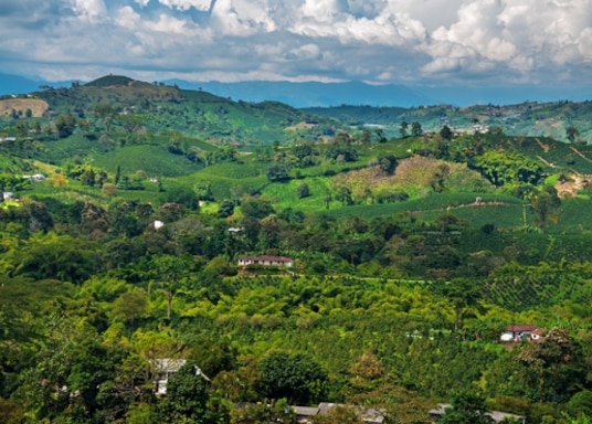 Top Hotels in Piedecuesta, Colombia Cancel FREE on most hotels