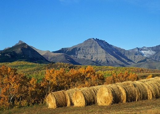 Castle Junction, Alberta, Kanada
