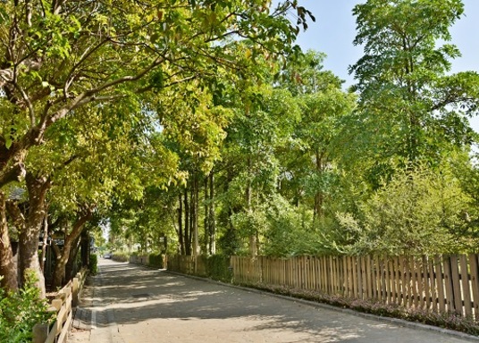 Luodong, Đài Loan