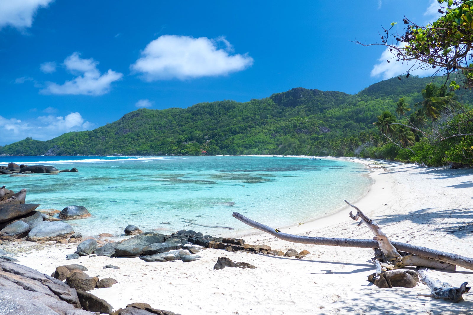 10 Best Beaches In Seychelles Seychelles Most Beautiful Beaches Go Guides