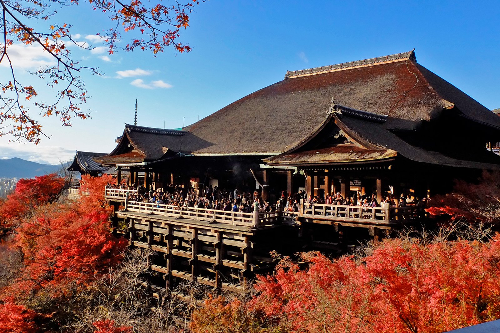 京都24 座最值得一訪的寺廟和神社 京都最重要的神社和寺廟