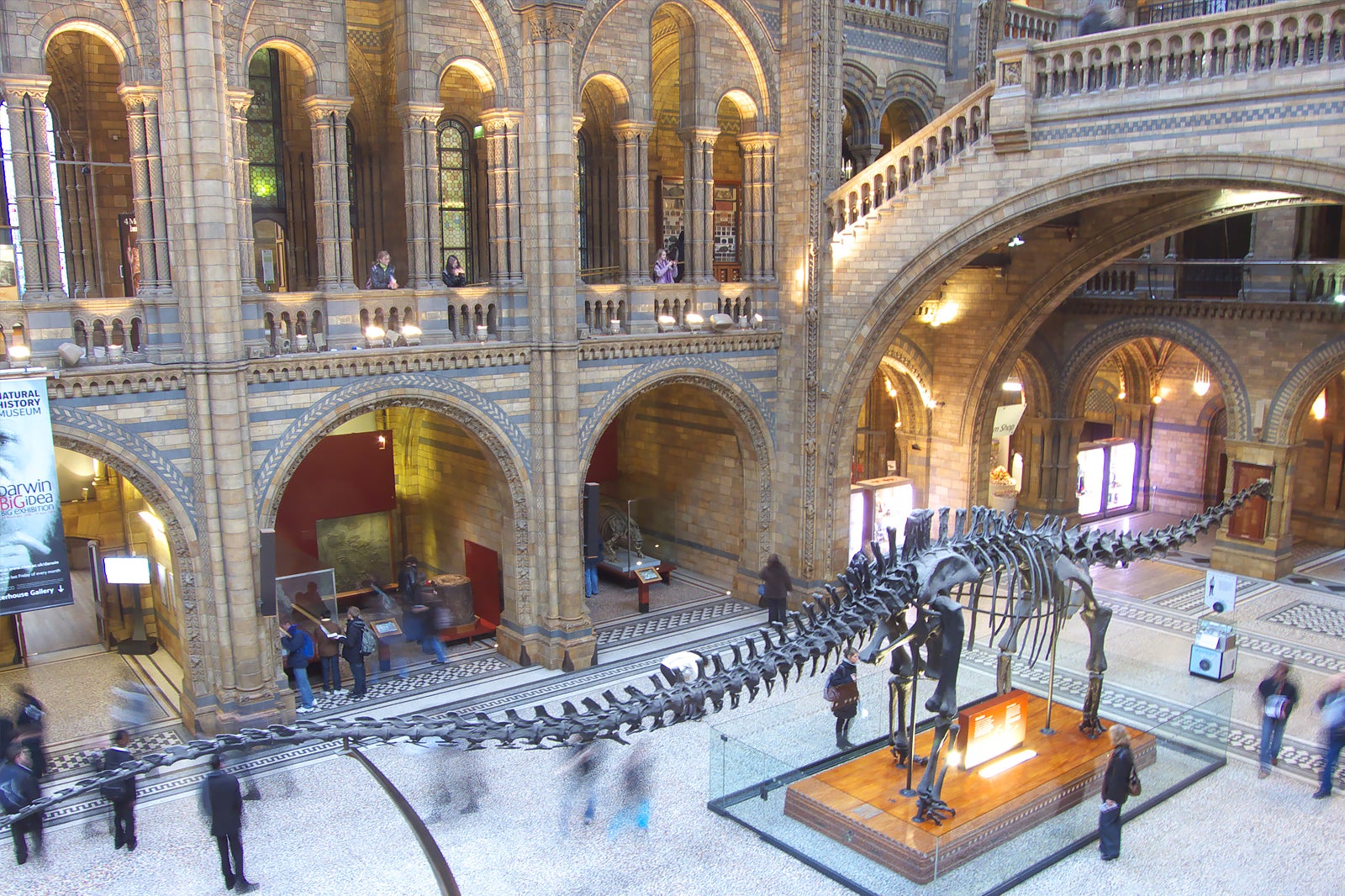 tour natural history museum