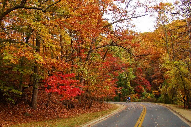 10 Most Popular Streets in Washington DC - Take a Walk Down Washington ...