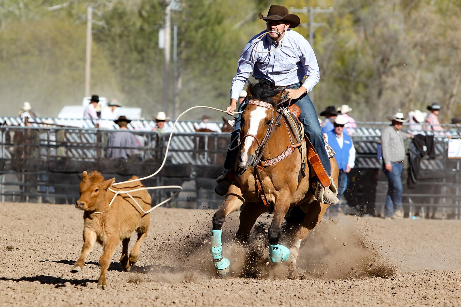 Suhls Rodeo Genuine Rodeo Near Orlando Go Guides