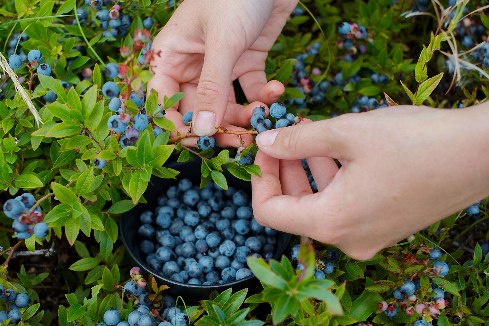 10 Best Hidden Gems in Maine Cool Places in Maine You Might Not Know