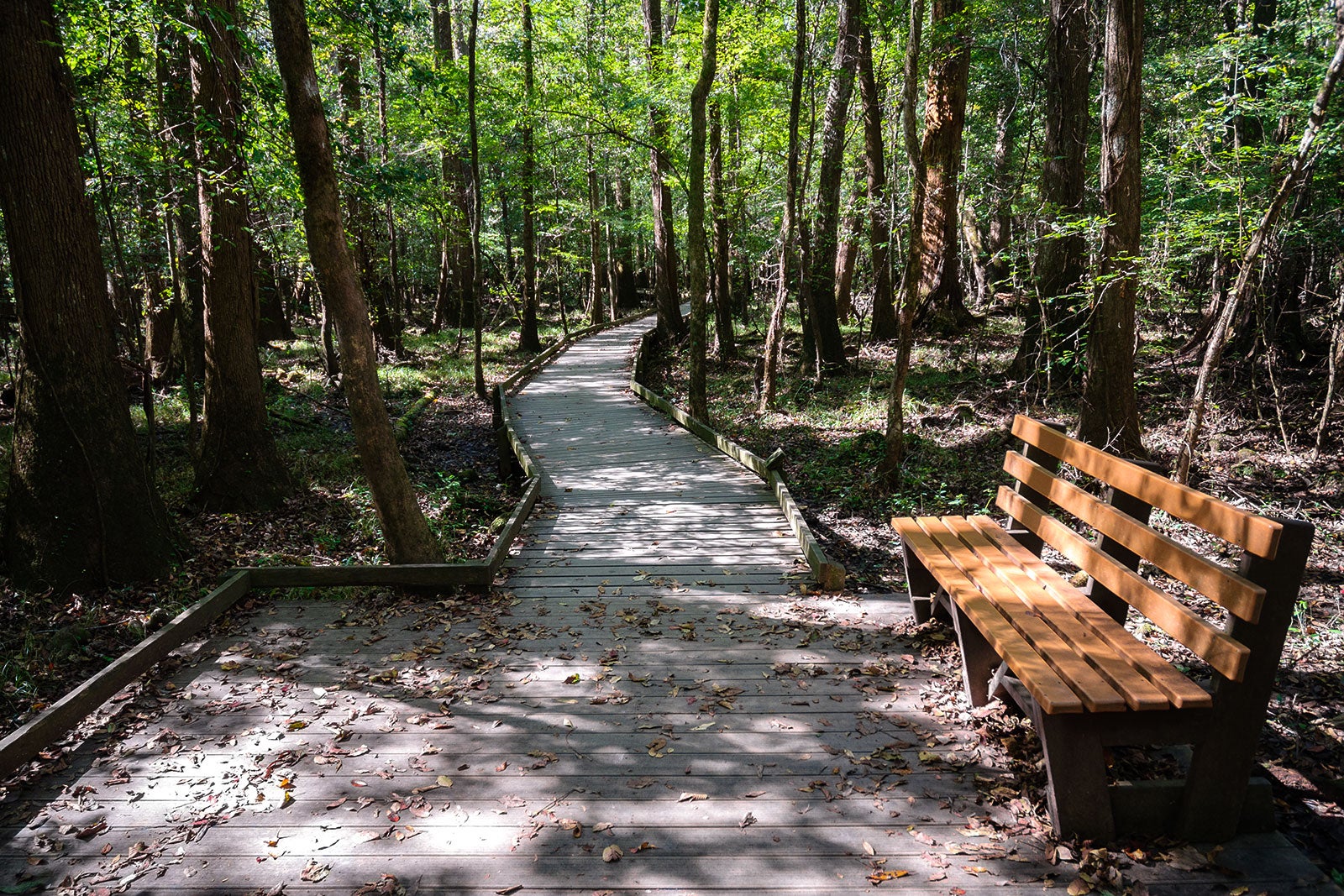 10 Best Hidden Gems in South Carolina Where to Discover the Best Kept
