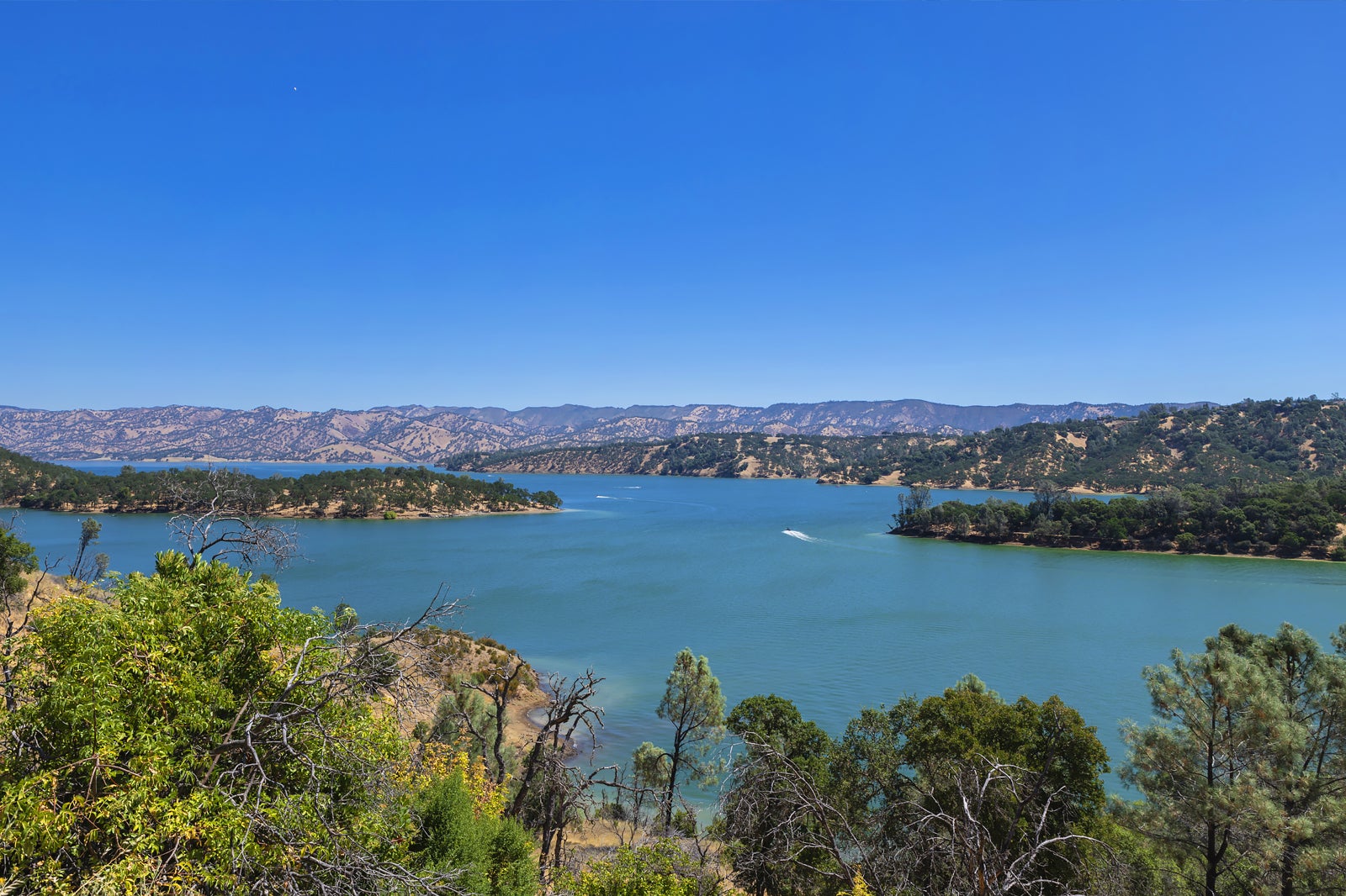 10 Best Things to Do in Napa What is Napa Best Known For? Go Guides