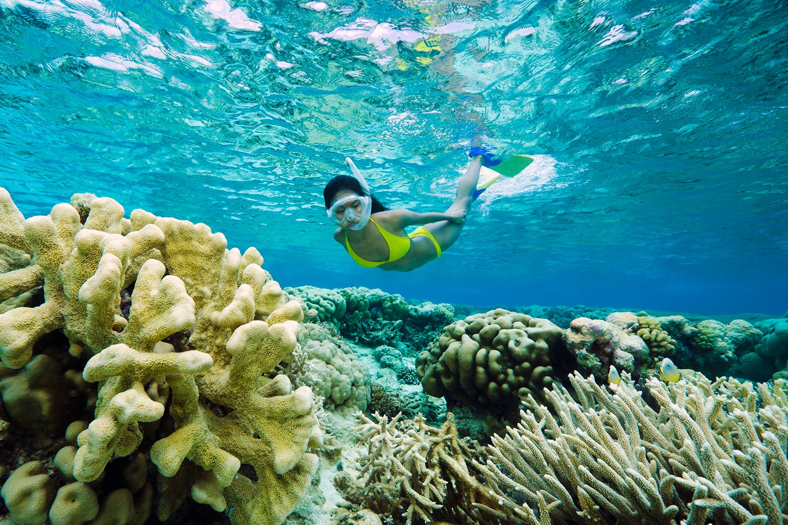 Snorkelling in Boracay - A Guide to Boracay's Best Snorkelling Spots ...