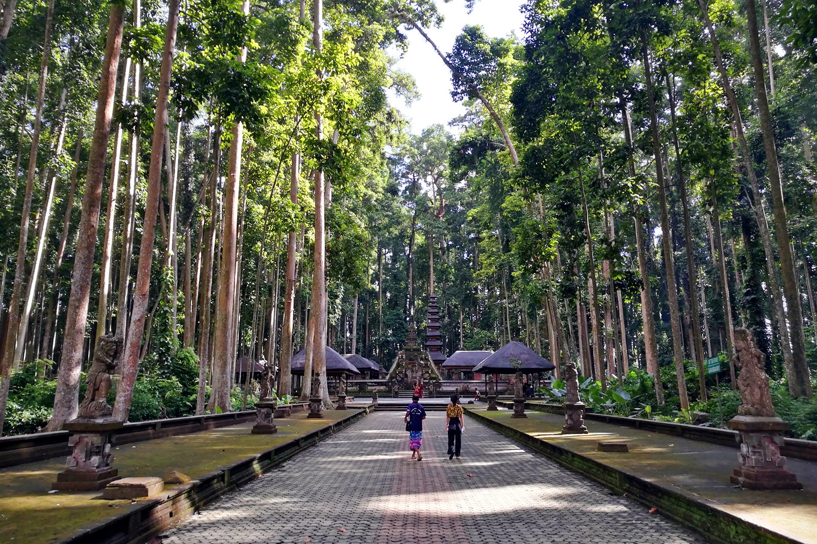 Sangeh Monkey Forest in Bali - Sacred Forest Sanctuary in Central Bali – Go  Guides