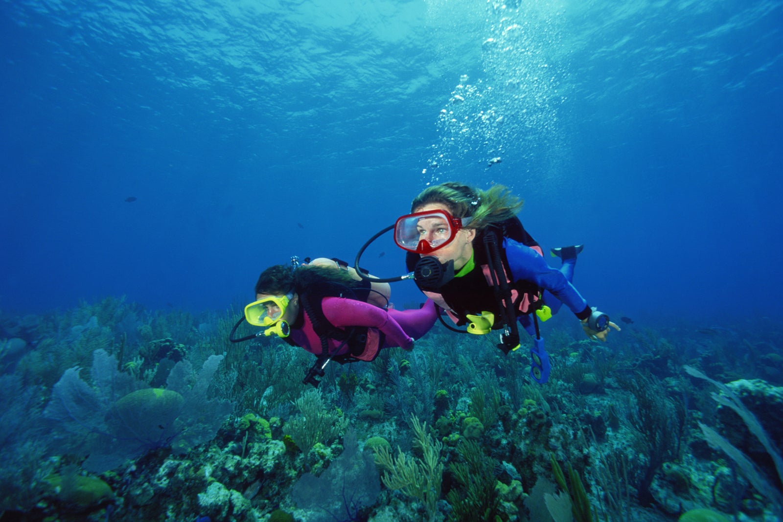 Scuba Diving in Phuket - Diving in Phuket for Beginners – Go Guides