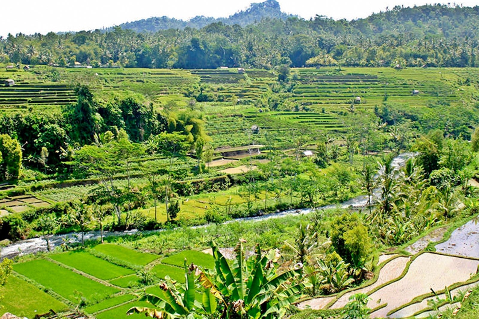 Telaga Waja River Rafting in Bali