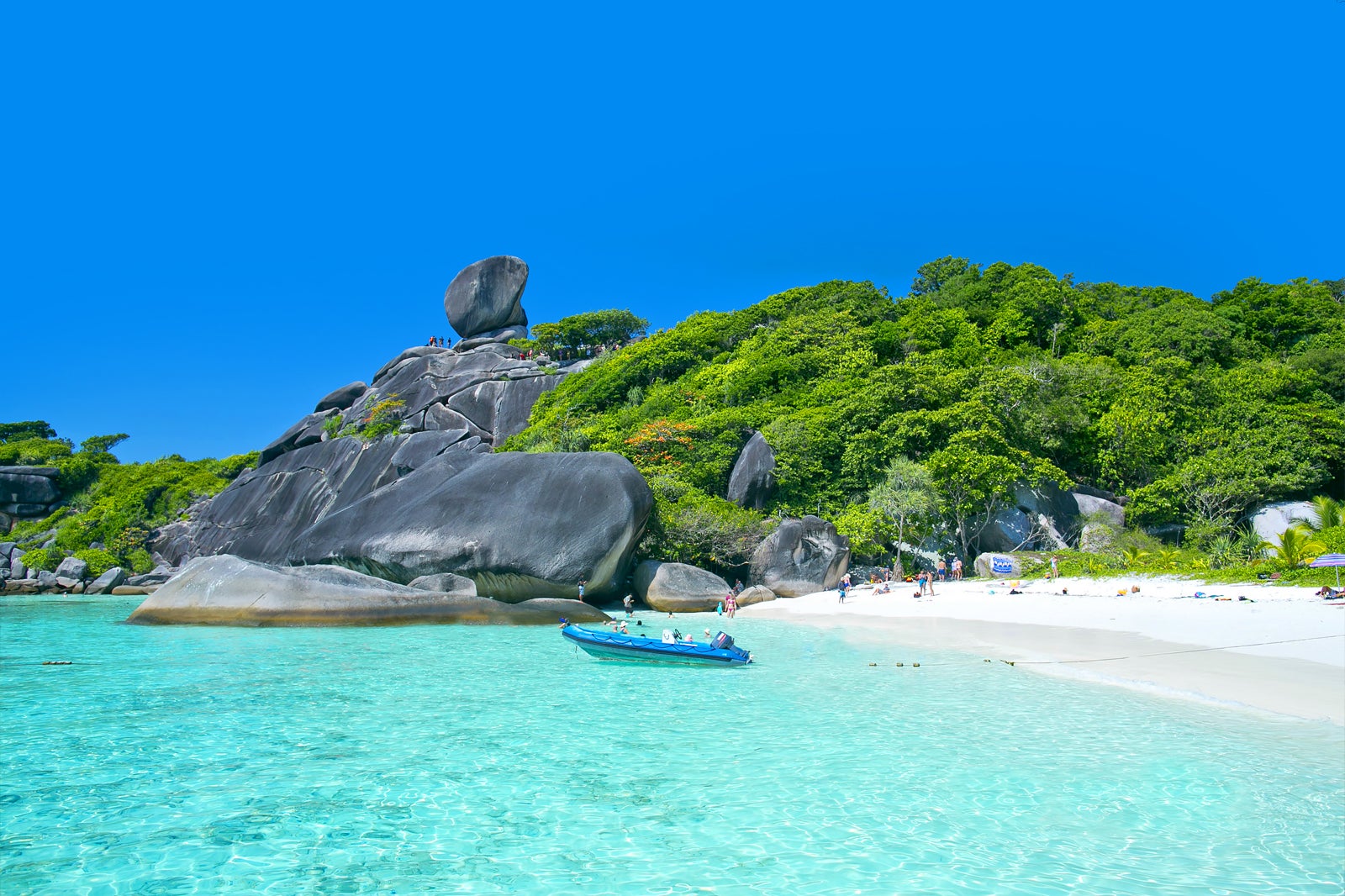 tour similan island