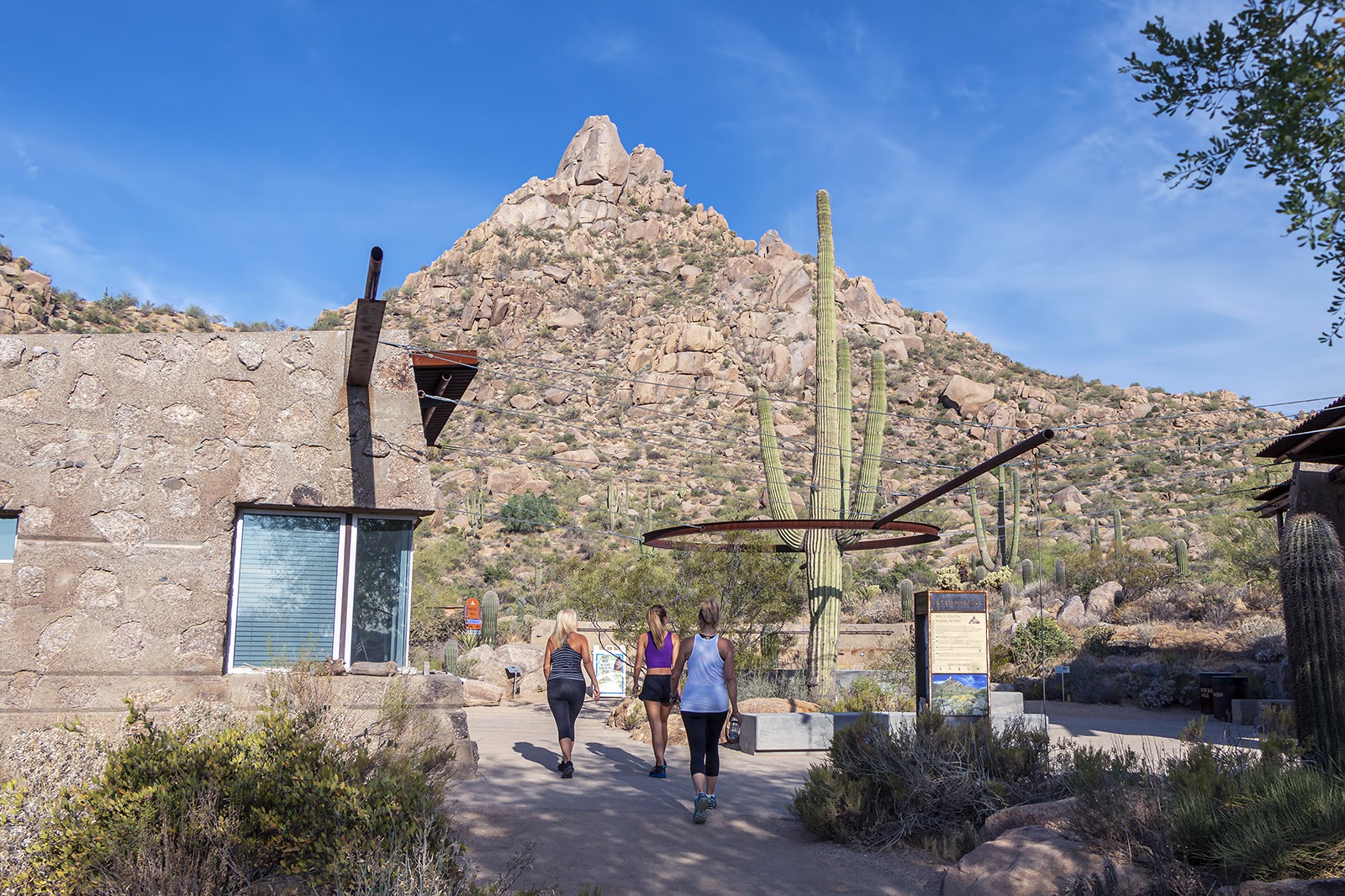 10 Most Popular Neighbourhoods In Phoenix - Where To Stay In Phoenix ...