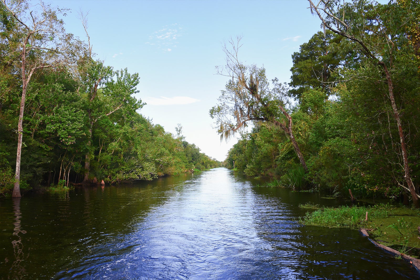 10 Best Outdoor Adventures in New Orleans - Discover the Top Nature ...