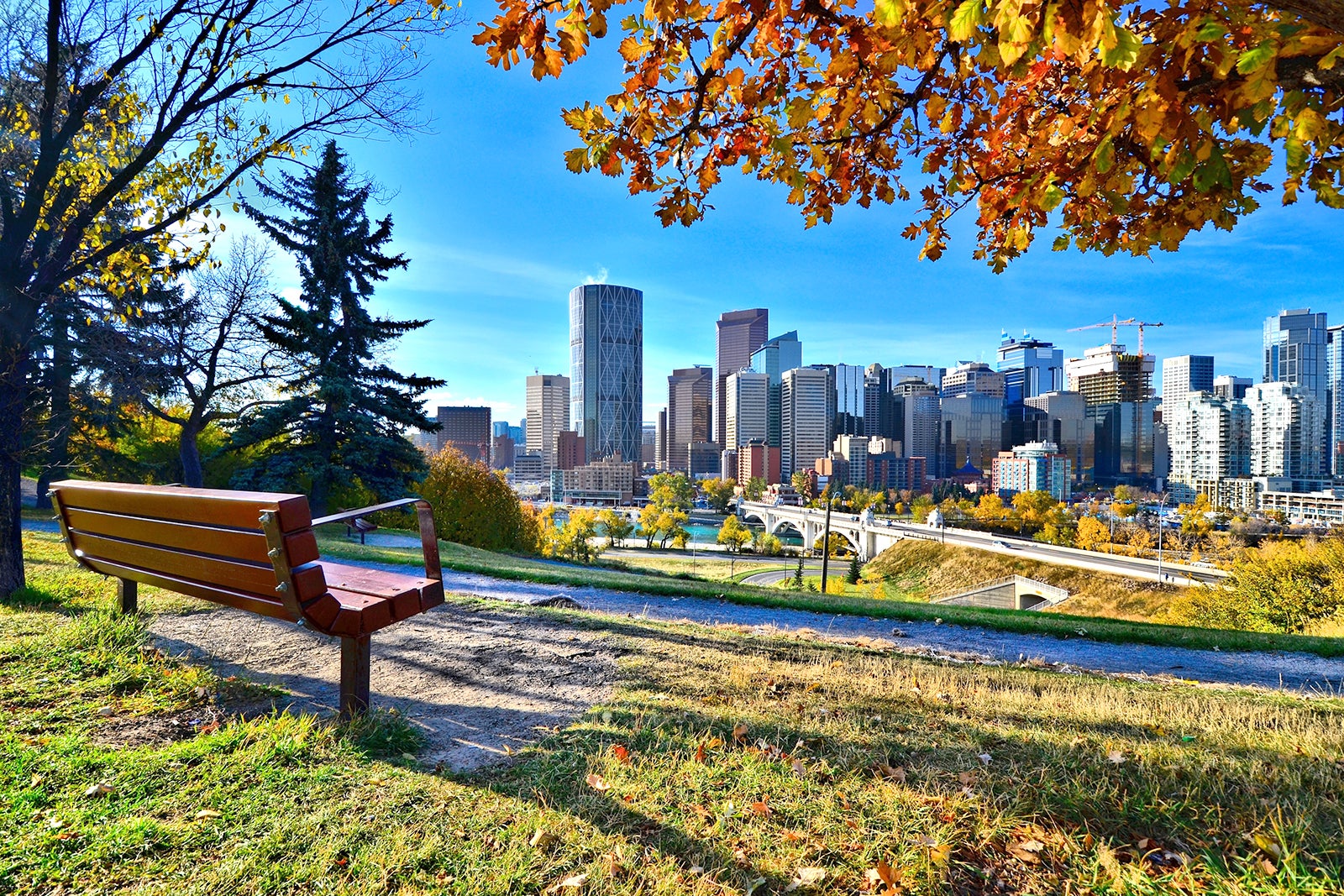 10 Date Ideas for Couples in Calgary - Calgary's Most Romantic Places – Go  Guides