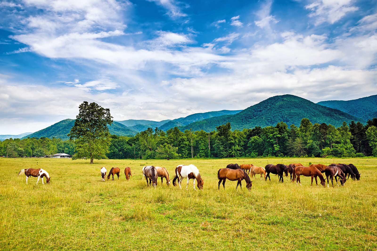 10 Best Cheap Things to Do in Pigeon What Can I Do in Pigeon