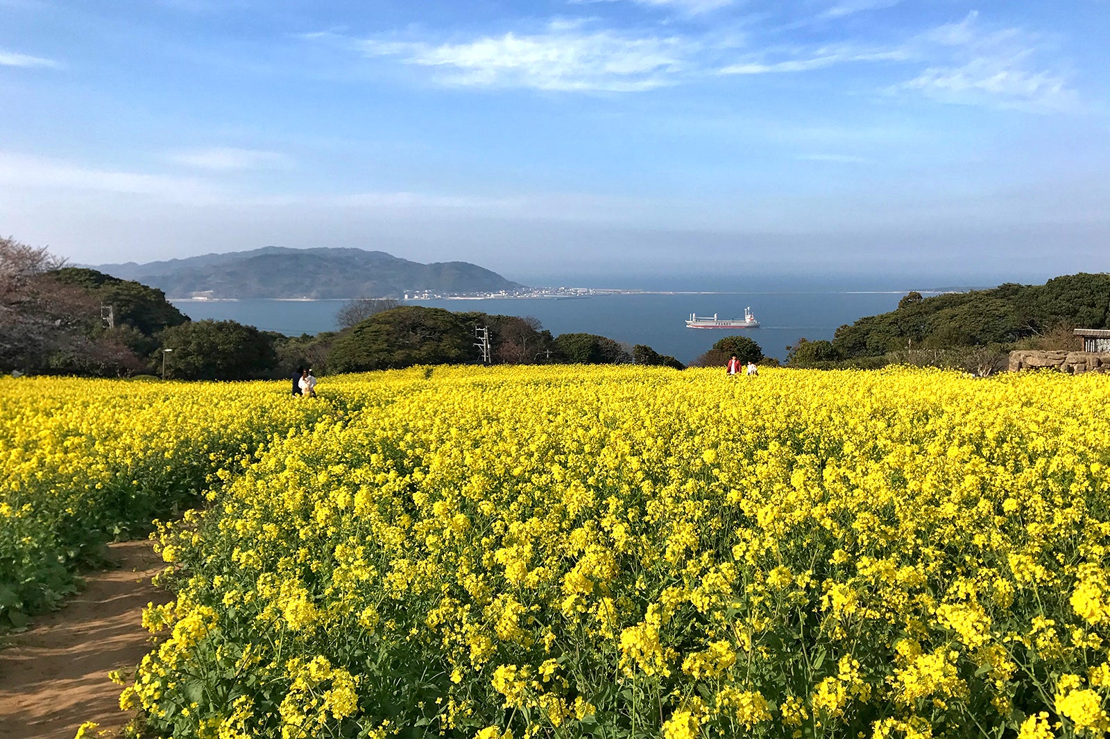 10-best-things-to-do-for-couples-in-fukuoka-what-to-do-on-a-romantic