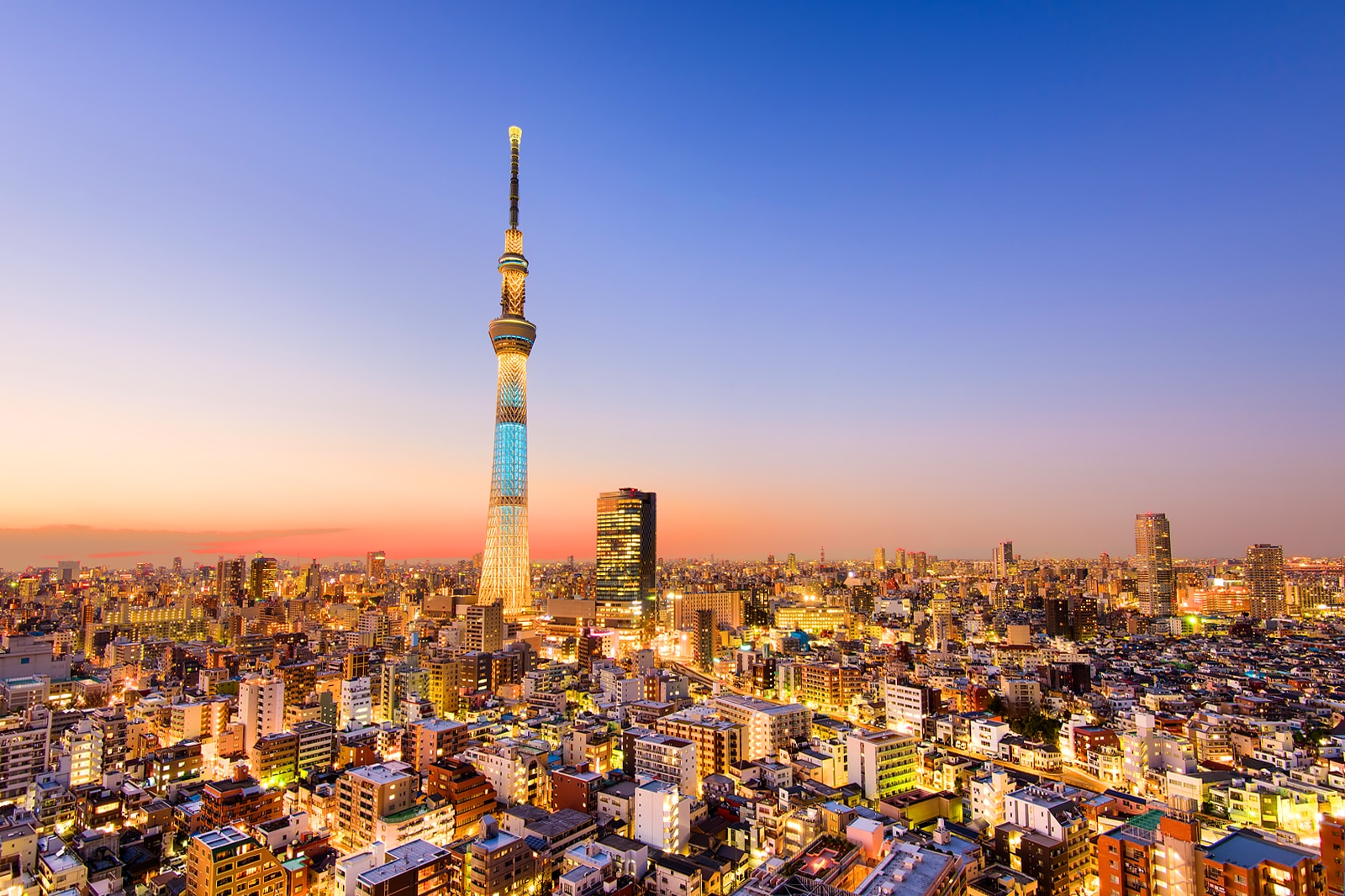 20 Best Things to Do in Tokyo - What is Tokyo Most Famous For? – Go Guides