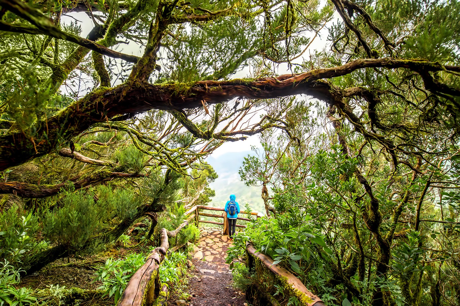 La Gomera in Canary Islands What You Need to Know to Plan an Island