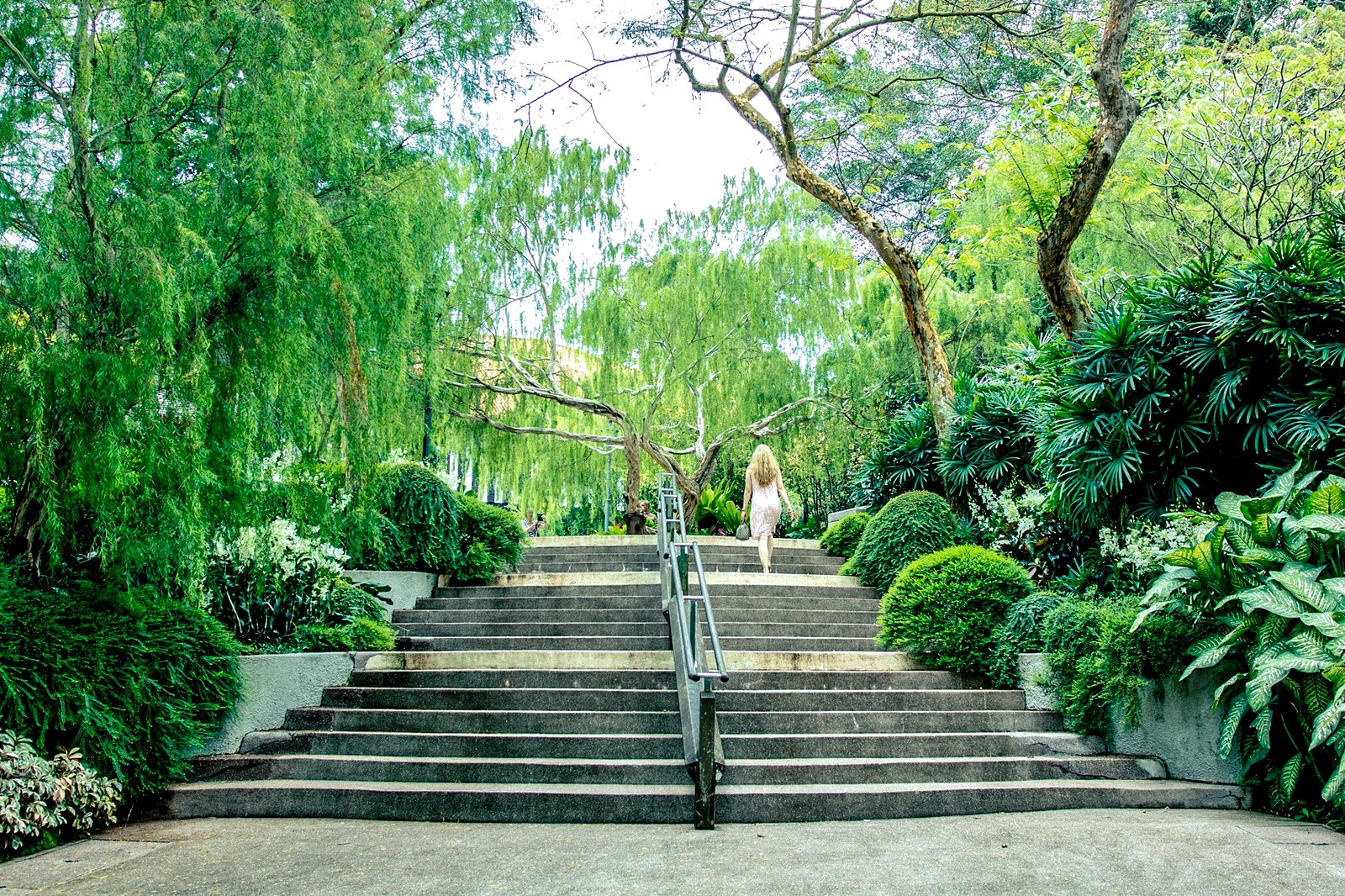 botanic gardens singapore