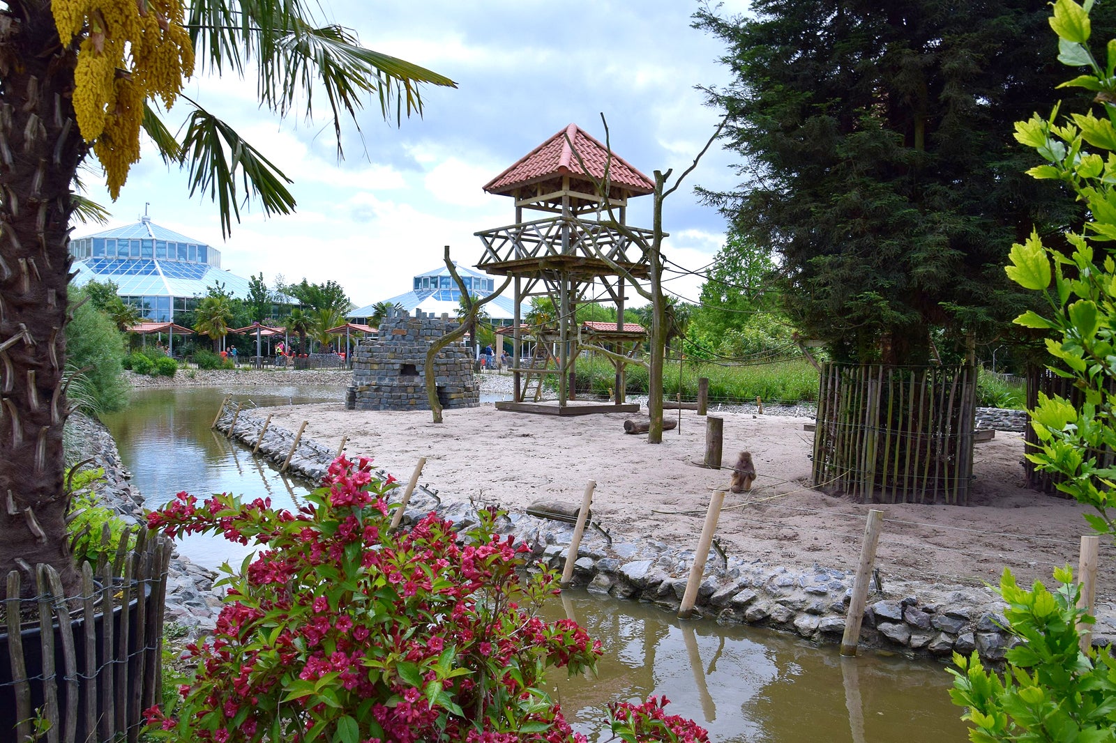 10 Best Family Things to Do in Dusseldorf What to Do for Fun in Dusseldorf with Your Kids