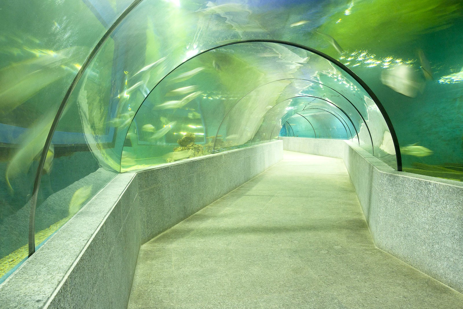 Boracay Oceanarium - Giant Aquarium at Crown Regency Resort and